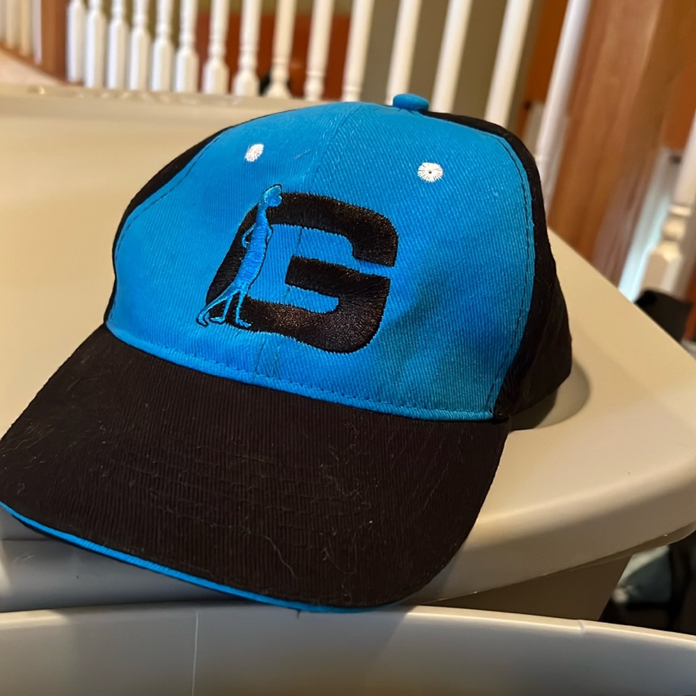GEICO Insurance Cap Hat One size,  Blue/Bblack 100% cotton o/s Gecko